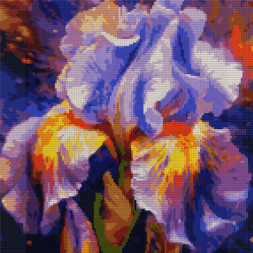 Картина по номерам Santi алмазна мозаїка Яскравий ірис, 40*40 см (954911)