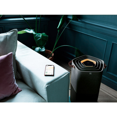Очисник повітря Electrolux PA91-604DG