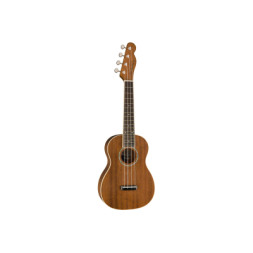 Укулеле Fender Ukulele Zuma Concert Natural WN (227750)