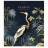 Зошит Школярик Amazing birds 48 аркушів клітинка (048-3402K)