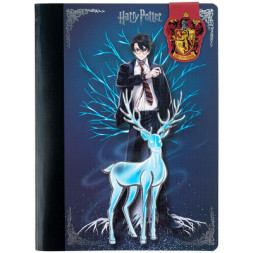 Блокнот Kite з магнітною закладкою Harry Potter А5, 60 аркушів, клітинка (HP25-192)