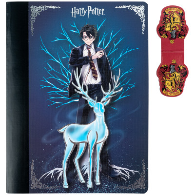 Блокнот Kite з магнітною закладкою Harry Potter А5, 60 аркушів, клітинка (HP25-192)