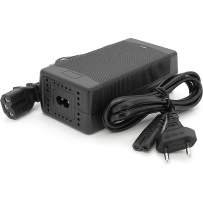 Мережевий зарядний пристрій для АКБ Voltronic LiFePO4 12V (14.6V), 4S,10A (YT-SJT-1468-C13)