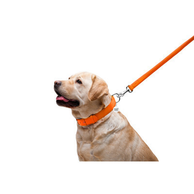 Повідок для собак WAUDOG Glamour шкіряний M-XXL помаранчевий (33764)