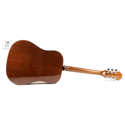 Гітара акустична Epiphone DR-100 NT (A002319)