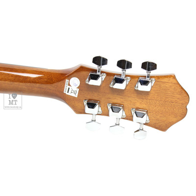 Гітара акустична Epiphone DR-100 NT (A002319)