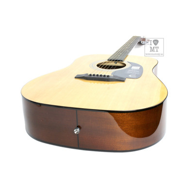 Гітара акустична Epiphone DR-100 NT (A002319)