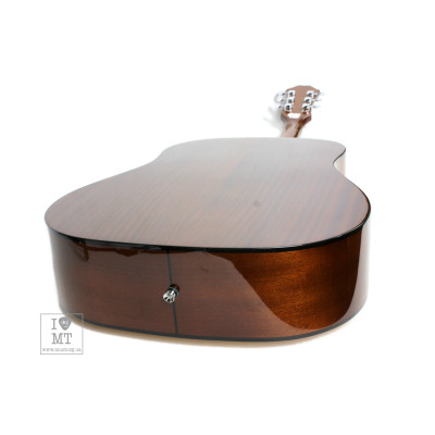 Гітара акустична Epiphone DR-100 NT (A002319)