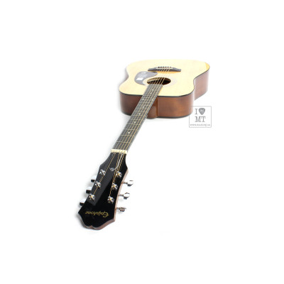 Гітара акустична Epiphone DR-100 NT (A002319)