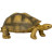 Фігурка Kids Team Сафарі Черепаха (Q9899-A81_6)