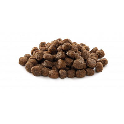 Сухий корм для собак Brit Premium Dog Junior S 8 кг (8595602526246)