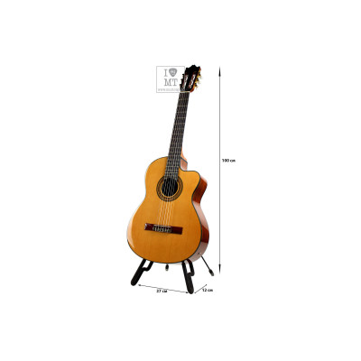 Гітара класична Ibanez GA6CE AM (211148)