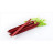 Намет Naturehike Сloud Up 2 Updated NH17T001-T 210T Orange (6927595730584)