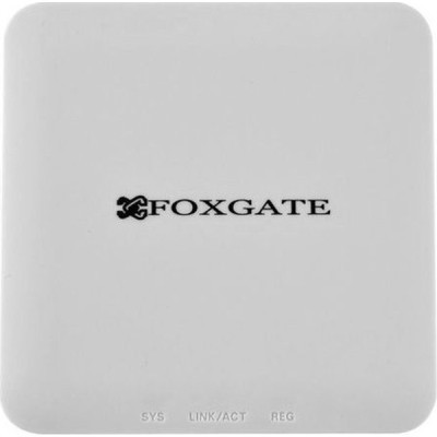 Опто-волоконне обладнання FoxGate Абонентський термінал ONU E1001MZ (ONU E1001MZ)