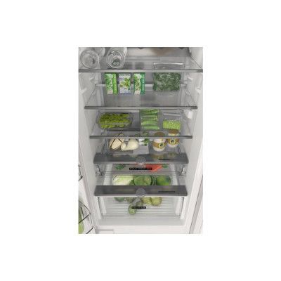 Холодильник Whirlpool WHC20T352