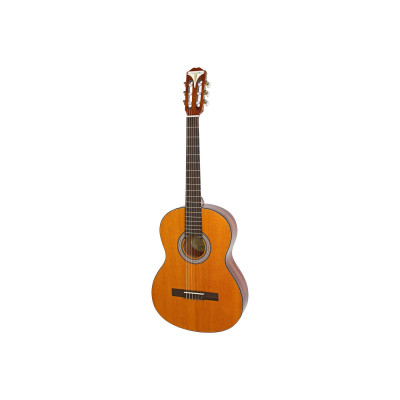 Гітара класична Epiphone PRO-1 Classic 3/4 (228188)