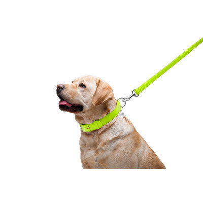 Повідок для собак WAUDOG Glamour шкіряний M-XXL салатовий (33765)
