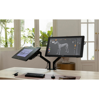 Планшет-монітор Huion Kamvas RDS-220 (RDS-220)