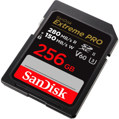 Карта пам&#039;яті SanDisk 256GB SDXC class 10 UHS-I Extreme Pro (SDSDXEP-256G-GN4IN)