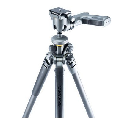 Штатив Vanguard Alta Pro 2+ 263AGH (DAS302030)