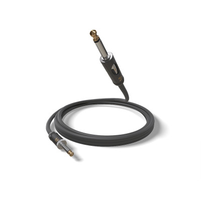 Інструментальний кабель D&#039;Addario American Stage Kill Switch 6m (PW-AMSK-20)