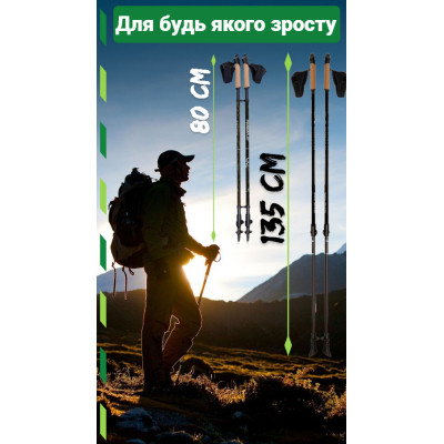 Палиці для скандинавської ходи PowerPlay 9105 Sisu Black/Gold 80-135 см (PP_9105_SISU)