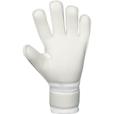 Воротарські рукавиці Jako GK Animal Basic RC 2596-023 білий, зелений Чол 9 (4067633119932)