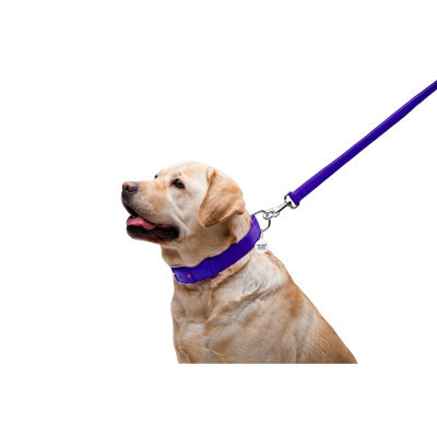 Повідок для собак WAUDOG Glamour шкіряний M-XXL фіолетовий (33769)