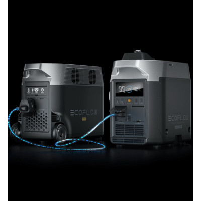 Генератор EcoFlow Smart Gas Dual Fuel (ZDG200-EU)