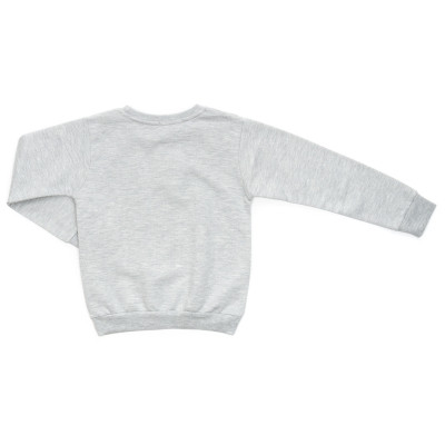 Спортивний костюм дитячий Breeze флісовий (18016-104B-gray)