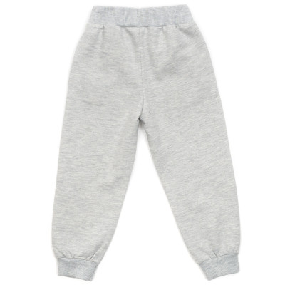 Спортивний костюм дитячий Breeze флісовий (18016-104B-gray)