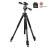 Штатив Vanguard Alta Pro 263AP (DAS301276)