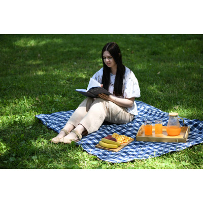 Плед Ardesto Picnic 130х170см, 100% поліестер, клітинка синій (ART0916BC)