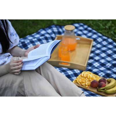 Плед Ardesto Picnic 130х170см, 100% поліестер, клітинка синій (ART0916BC)