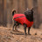 Жилет для тварин Pet Fashion &quot;E.Vest&quot; S червоний (4823082424450)