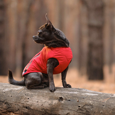 Жилет для тварин Pet Fashion &quot;E.Vest&quot; S червоний (4823082424450)