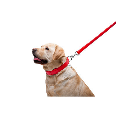 Повідок для собак WAUDOG Glamour шкіряний M-XXL червоний (33763)