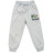 Спортивний костюм дитячий Breeze флісовий (18016-116B-gray)