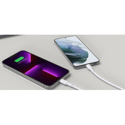 Зарядний пристрій Belkin 2xUSB-C PD65W GaN PPS + cable USB-C to USB-C 2.0m White (WCH013VF2MWH-B6)