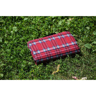 Плед Ardesto Picnic 130х170см, 100% поліестер, клітинка червоний (ART0916RC)