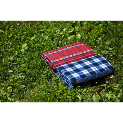 Плед Ardesto Picnic 130х170см, 100% поліестер, клітинка червоний (ART0916RC)