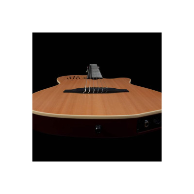 Гітара класична Godin ACS Nylon Natural SG (235920)