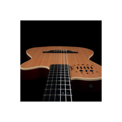 Гітара класична Godin ACS Nylon Natural SG (235920)