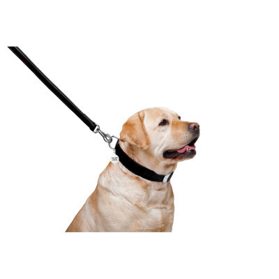 Повідок для собак WAUDOG Glamour шкіряний M-XXL чорний (33761)