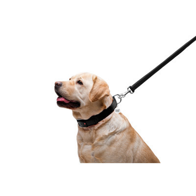 Повідок для собак WAUDOG Glamour шкіряний M-XXL чорний (33761)