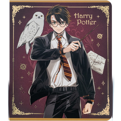 Зошит Kite Harry Potter 24 аркушів, клітинка (HP24-238)