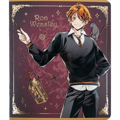 Зошит Kite Harry Potter 24 аркушів, клітинка (HP24-238)