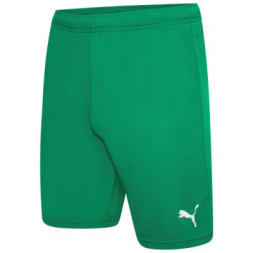 Шорти Puma teamRISE Short 704942-05 зелений L (4063699209846)
