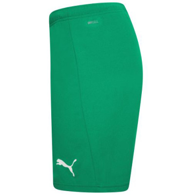 Шорти Puma teamRISE Short 704942-05 зелений L (4063699209846)