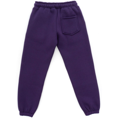 Спортивний костюм дитячий A-Yugi флісовий (7205-140G-lilac)